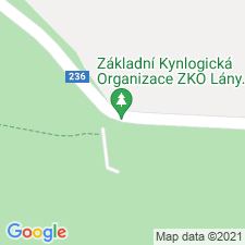 Google map: 
